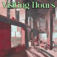 Visiting Hours - Instrumental cover